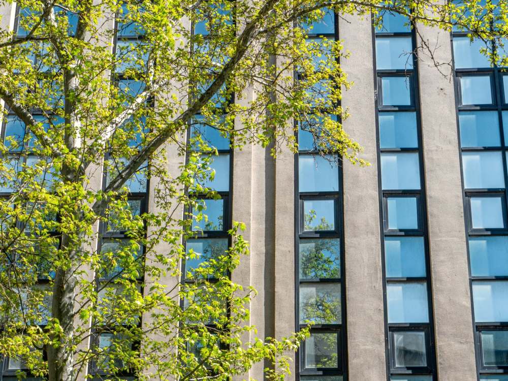 Exterior view of windows with dual-reflective covering mirroring the sky and spring trees against the building facade
